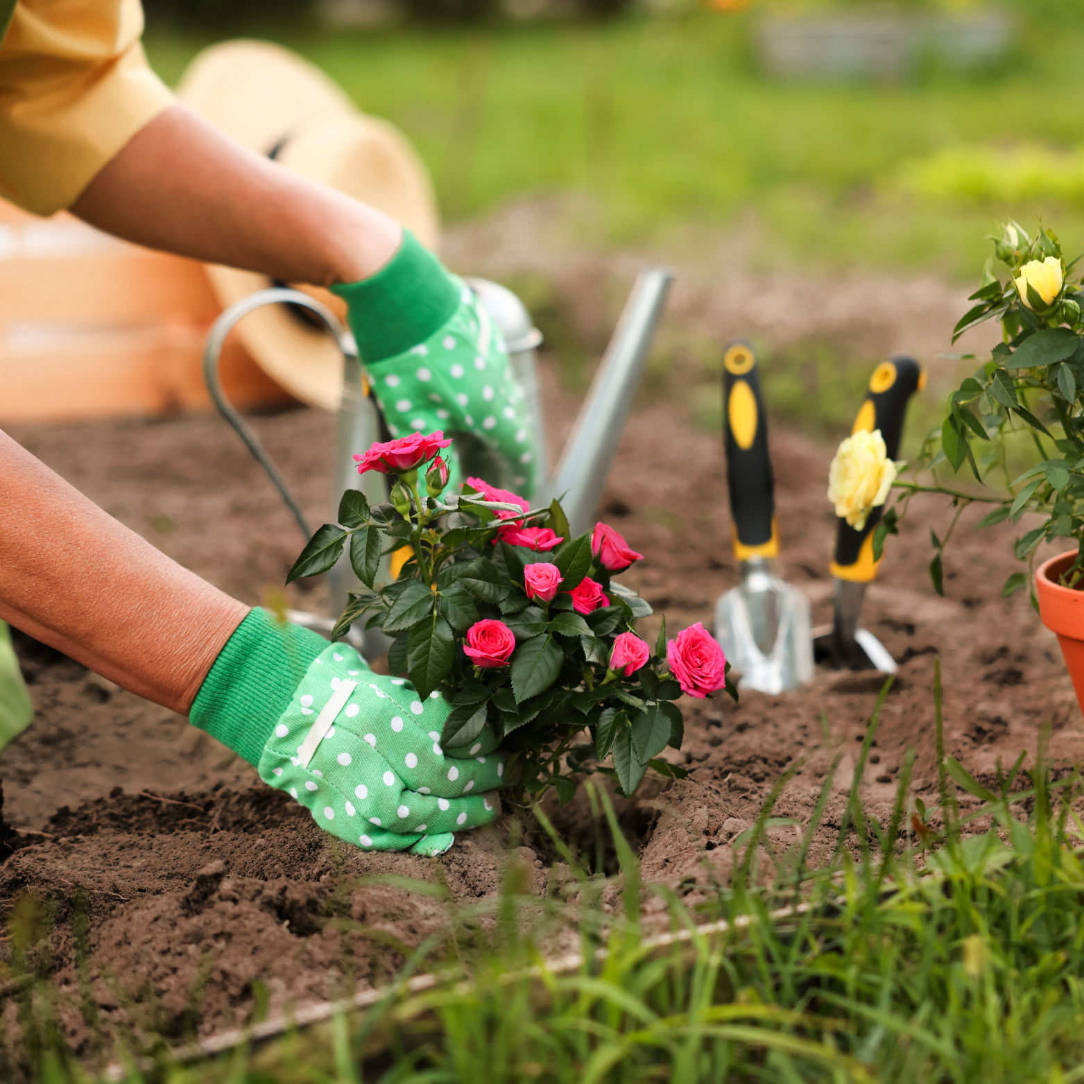 Landscaping Services